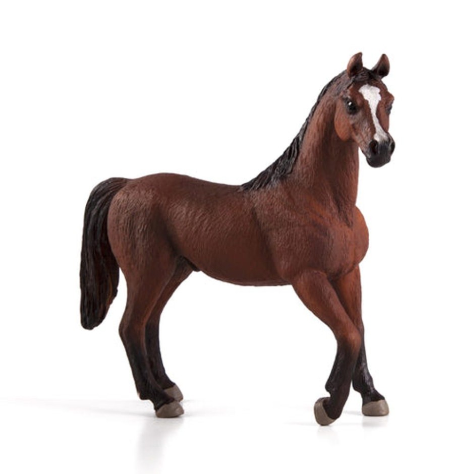 Farmland MojoFun | Arabian Stallion Chestnut