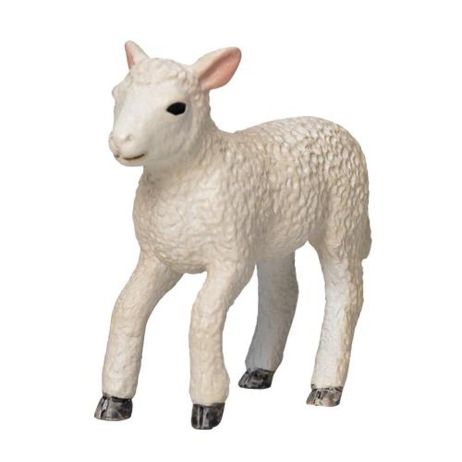 Farmland MojoFun | Romney Sheep Lamb Running