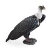 Wildlife MojoFun | Griffon Vulture