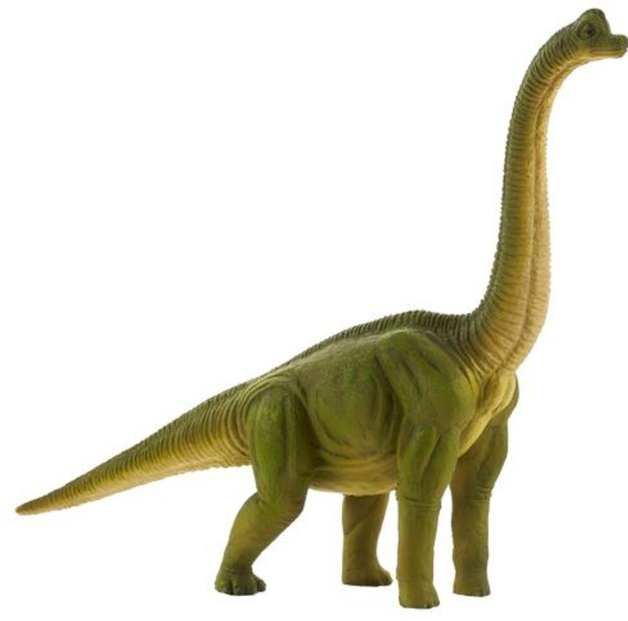 Prehistoric Life MojoFun | Brachiosaurus