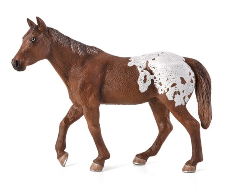 Farmland MojoFun | Appaloosa Stallion Chestnut Blanket