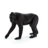 Wildlife MojoFun | Black Crested Macaque