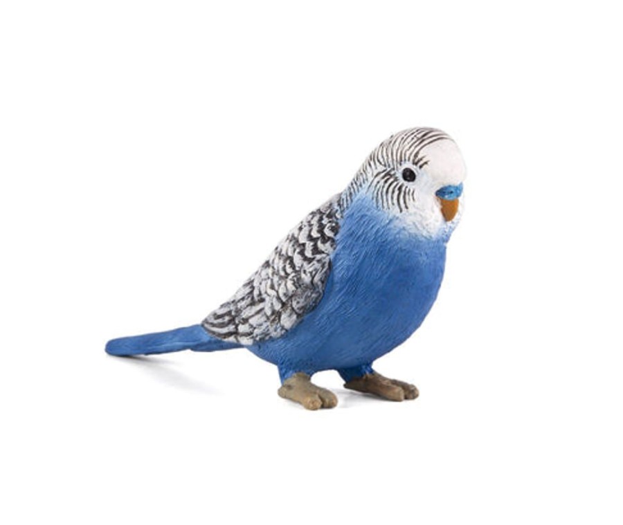 Farmland MojoFun | Blue Budgerigar