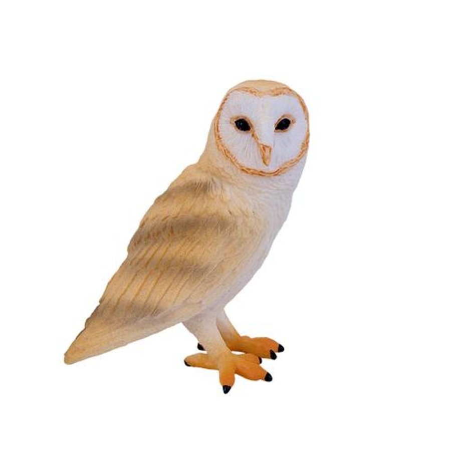 Woodland Mojo Fun | Barn Owl