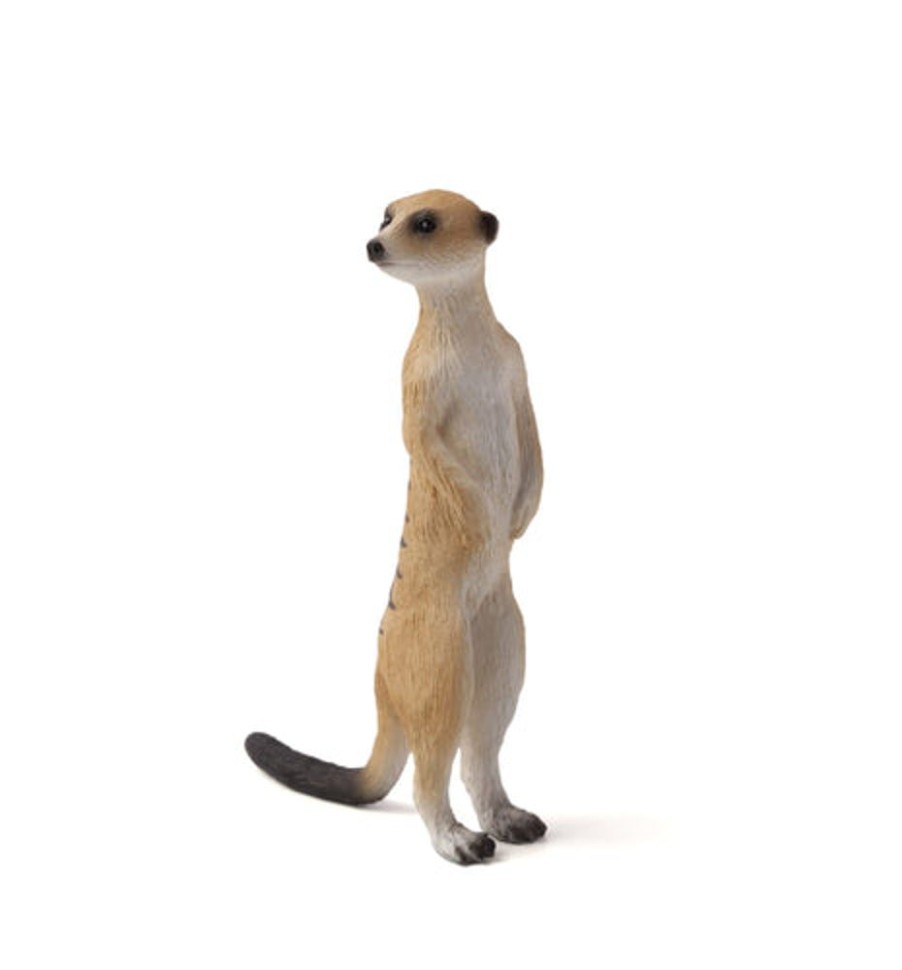 Wildlife MojoFun | Meerkat