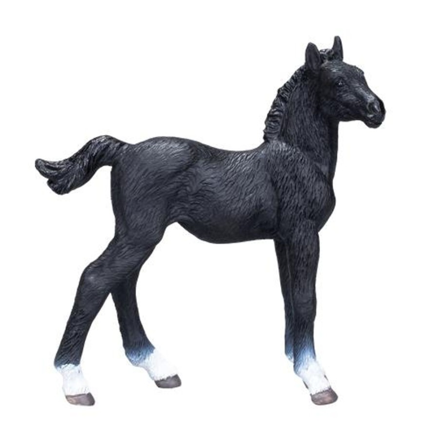 Farmland MojoFun | Hanoverian Foal Black