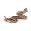 Wildlife MojoFun | Rattlesnake