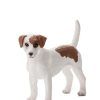 Farmland MojoFun | Jack Russel Terrier