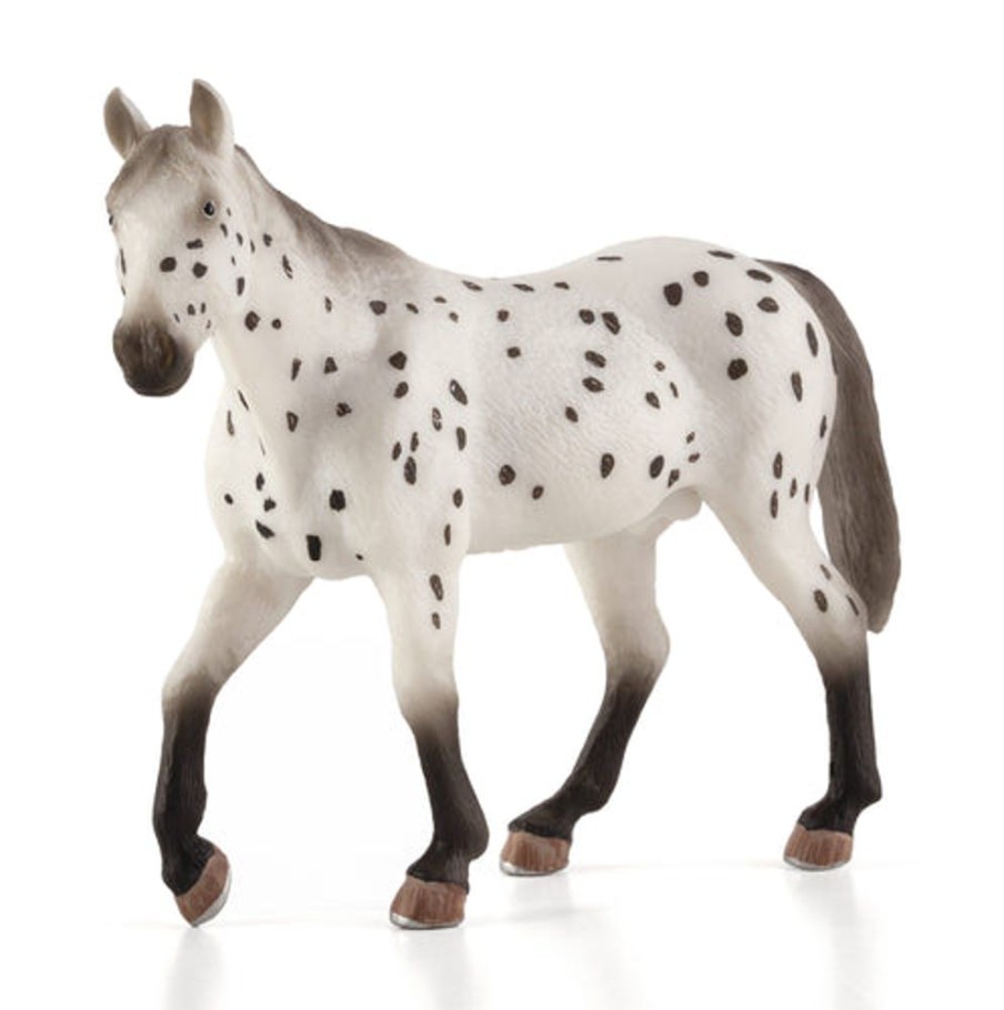 Farmland MojoFun | Appaloosa Stallion