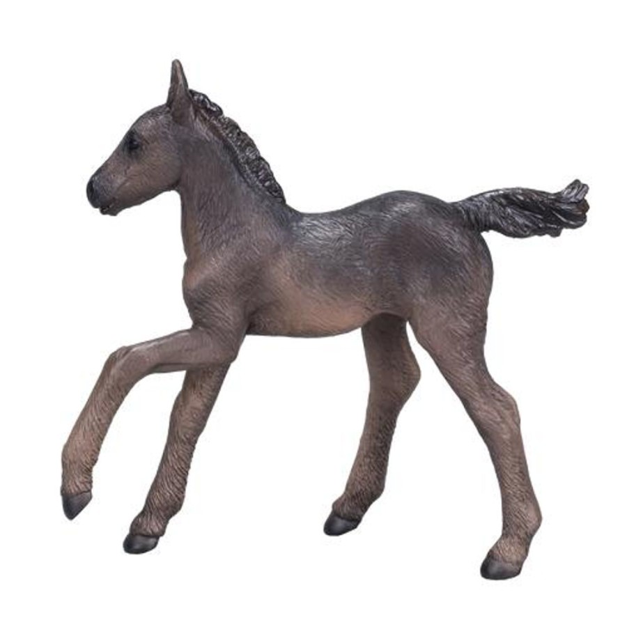 Farmland MojoFun | Arabian Foal Black