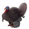 Woodland MojoFun | Male Turkey