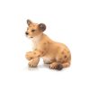 Wildlife MojoFun | Lion Cub Playing