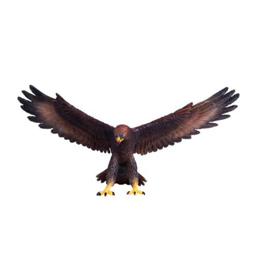 Wildlife Mojo Fun | Golden Eagle