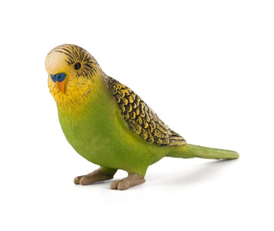 Farmland MojoFun | Green Budgerigar